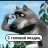 Mod_Aleks 58