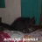 NancyDrew